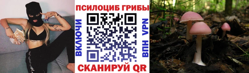 кракен ONION  Тарко-Сале  Псилоцибиновые грибы Psilocybine cubensis  закладка 